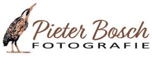 Pieter Bosch fotografie